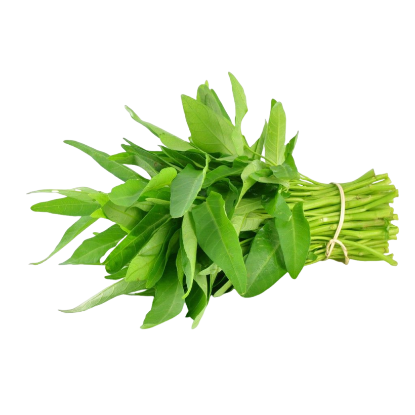 Kangkung
